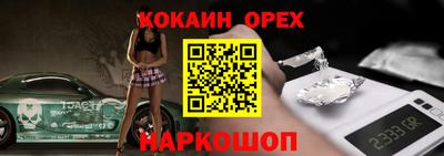 крисы Нальчик